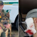 BCSO K-9 ‘Jordan’ Takes A Bite Out of Crime After High Speed Chase in Cocoa BCSO K-9 ‘Jordan’ Takes A Bite Out of Crime After High Speed Chase in Cocoa